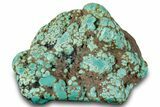 Polished Turquoise Specimen - Number Mine, Carlin, NV #260494-1